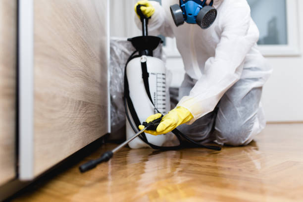 Best Rat Extermination Near Me  in Mobile, AL