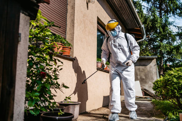 Best Flea Control Services  in Mobile, AL