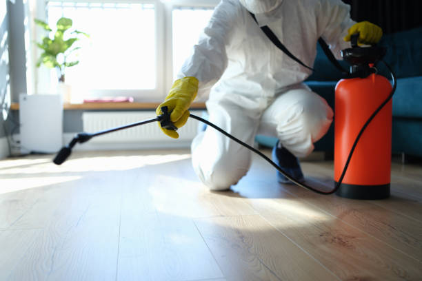 Flea Control Services in Mobile, AL